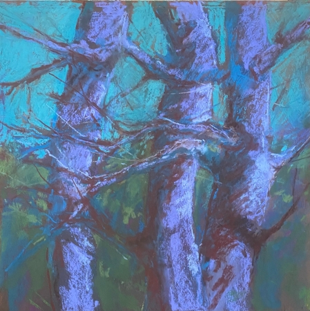 Early Morning in New Mexico by artist julia fletcher